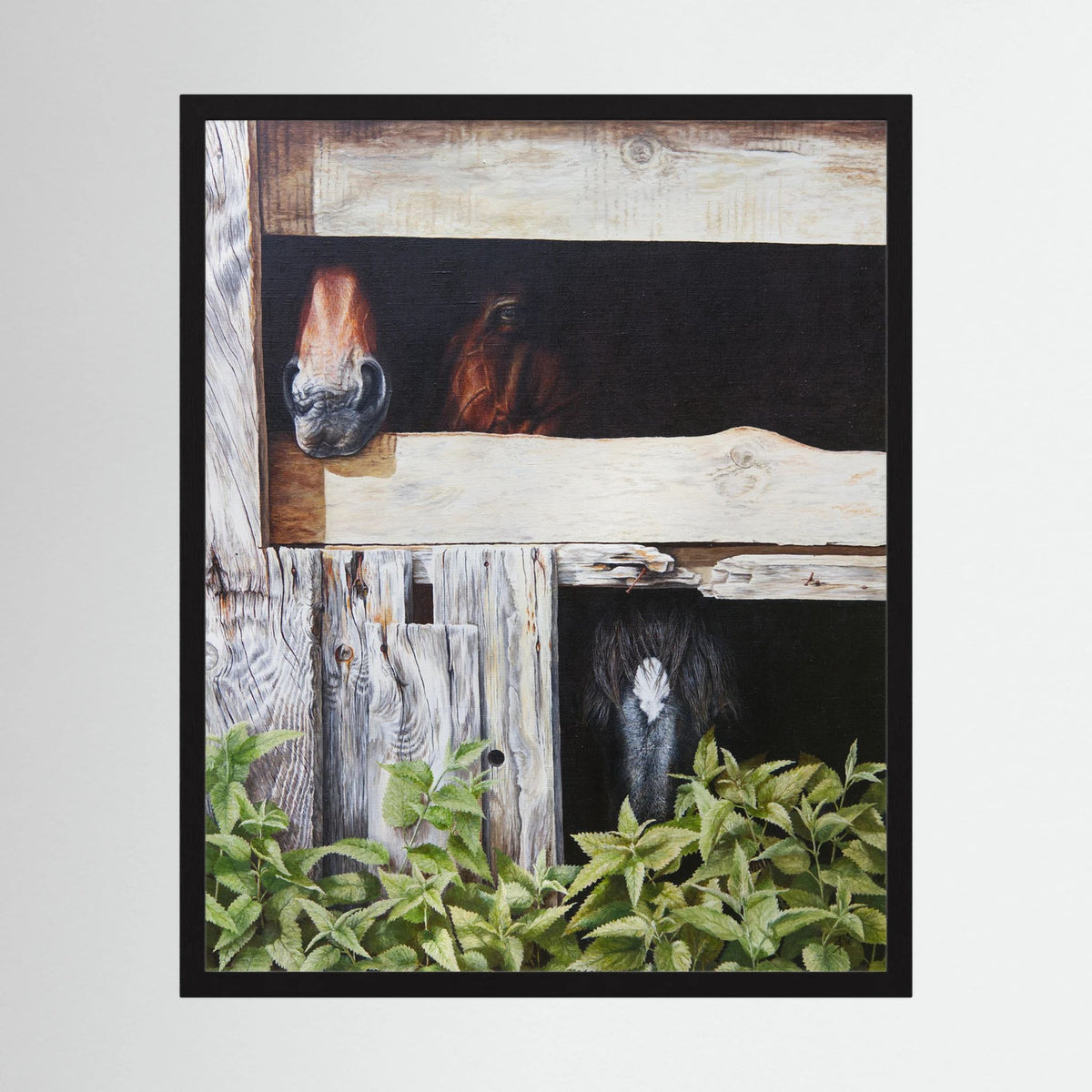 A framed (black frame) paper art print depicting three horses peeking out from behind rustic wooden barn window and green foliage, presented on a light gray background.