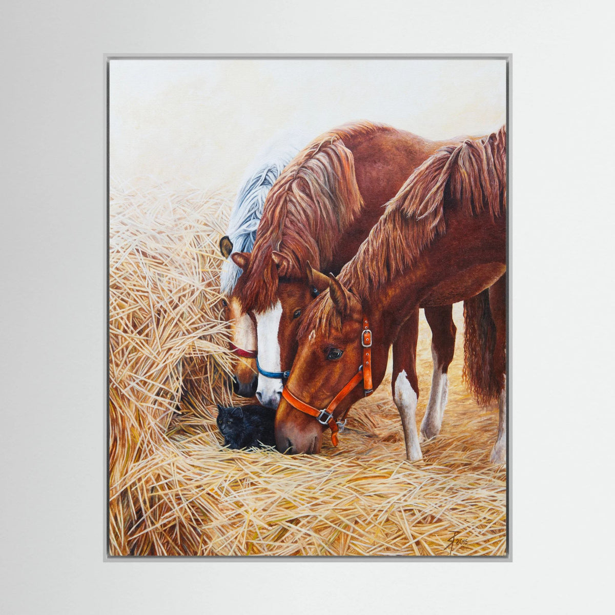 Framed (white frame) canvas wall art print featuring three young horses and a black cat.