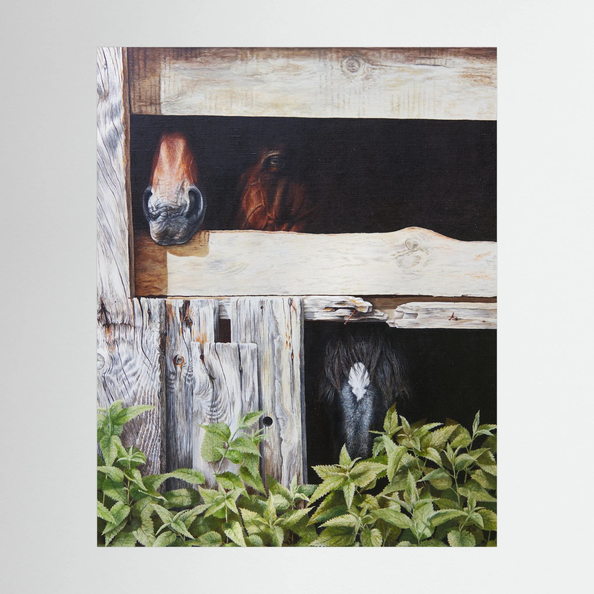 Fragments of Three contemporary realism paper print featuring three horses standing closely together, unframed wall art