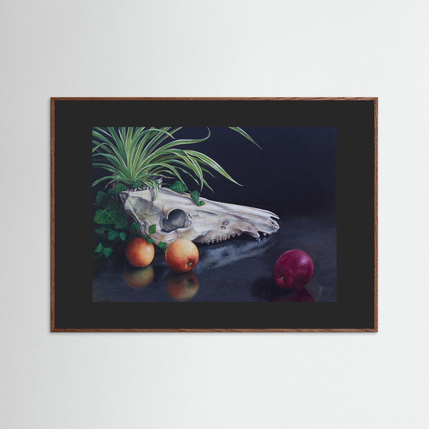 A framed (dark oak frame) still life paper art print with a black passepartout featuring a white animal skull, green leaves, and red apples on a dark reflective surface, displayed against a light gray wall.