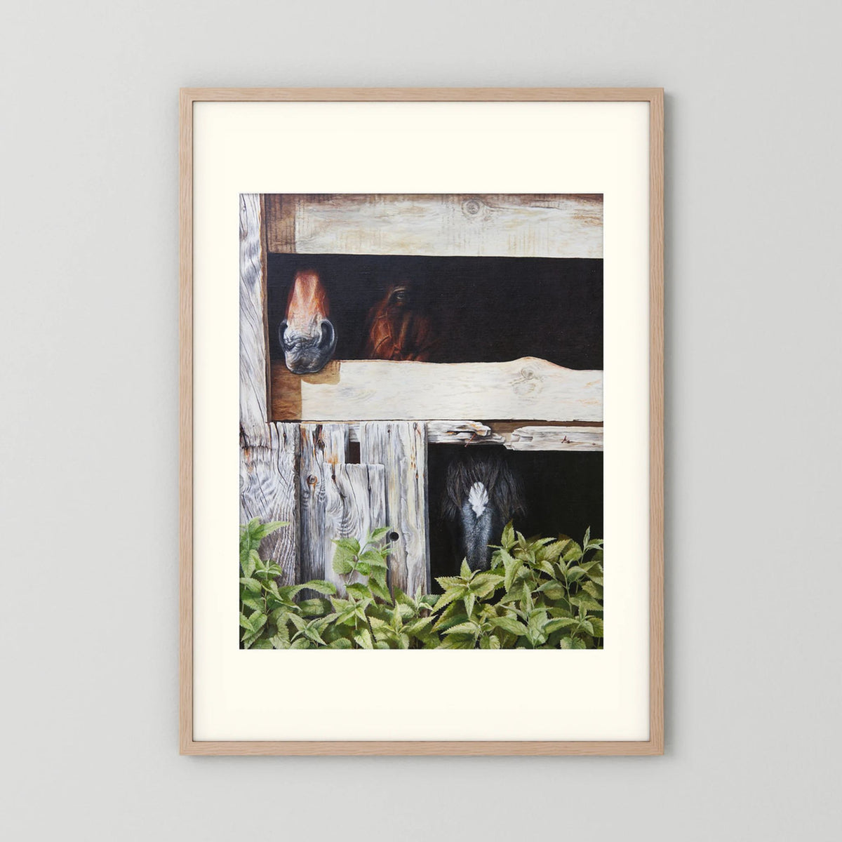 Framed (nature oak) paper art print with a freja passepartout featuring a painted scene of three horses peeking out from wooden stalls, displayed on a light gray wall.