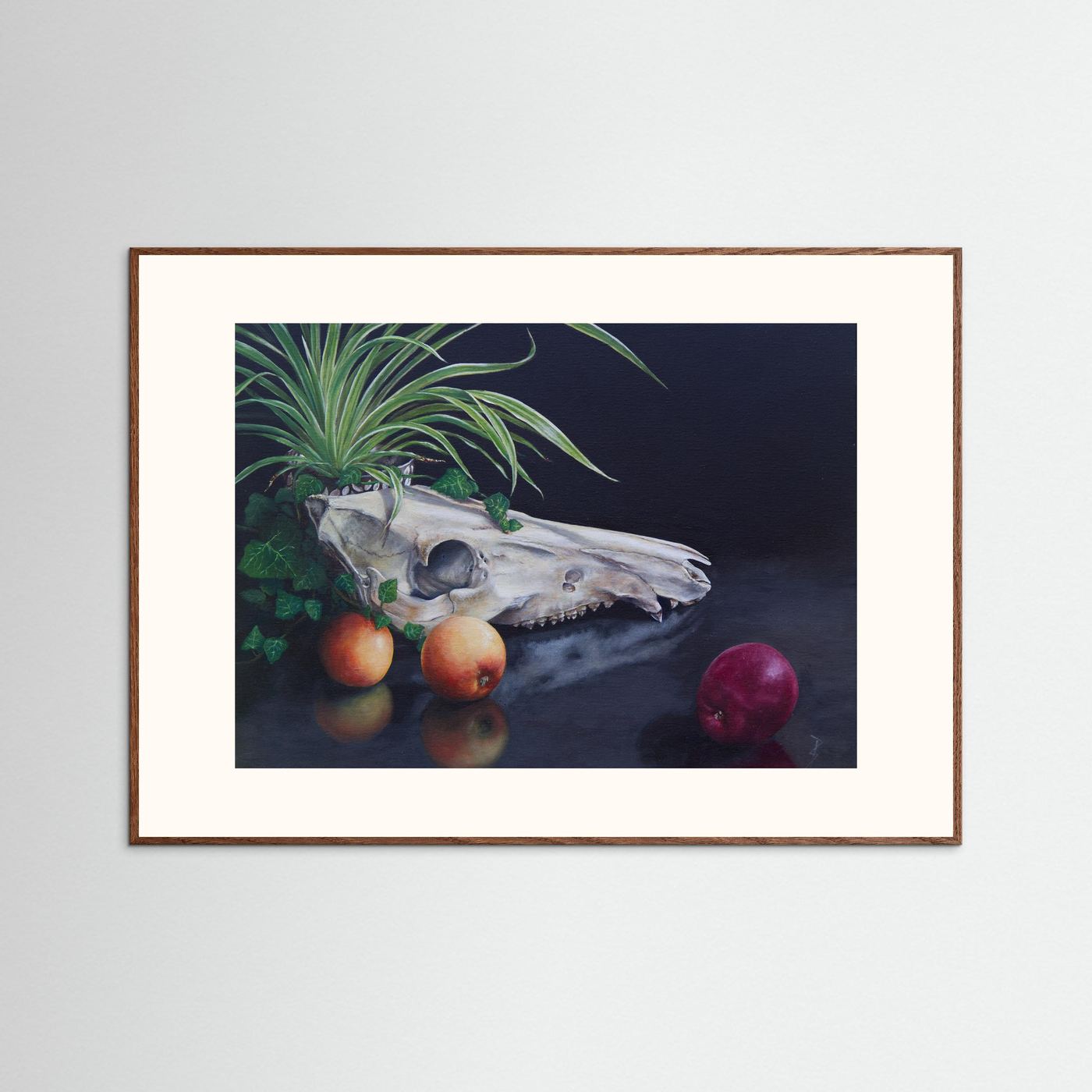 A framed (dark oak frame) still life paper art print with a freja passepartout featuring a white animal skull, green leaves, and red apples on a dark reflective surface, displayed against a light gray wall.