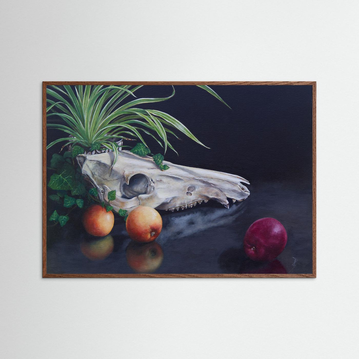 A framed (dark oak frame) still life paper art print on a light gray wall, depicting a white animal skull with green leaves, three apples on a dark reflective surface.