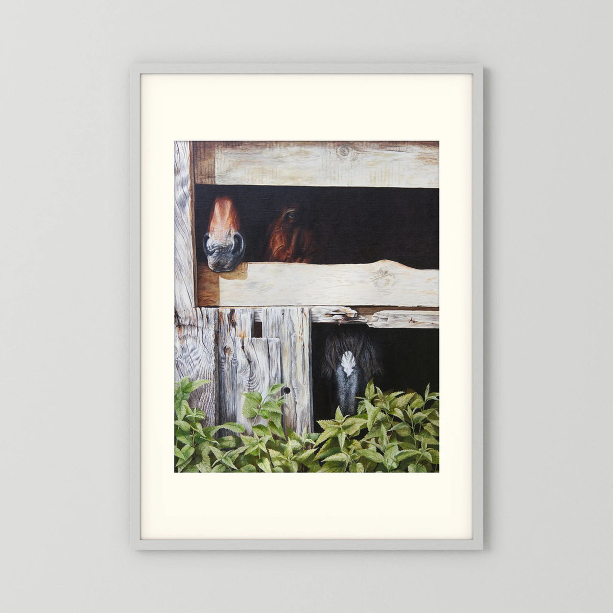 Framed (white frame) paper art print with a freja passepartout featuring a painted scene of three horses peeking out from wooden stalls, displayed on a light gray wall.