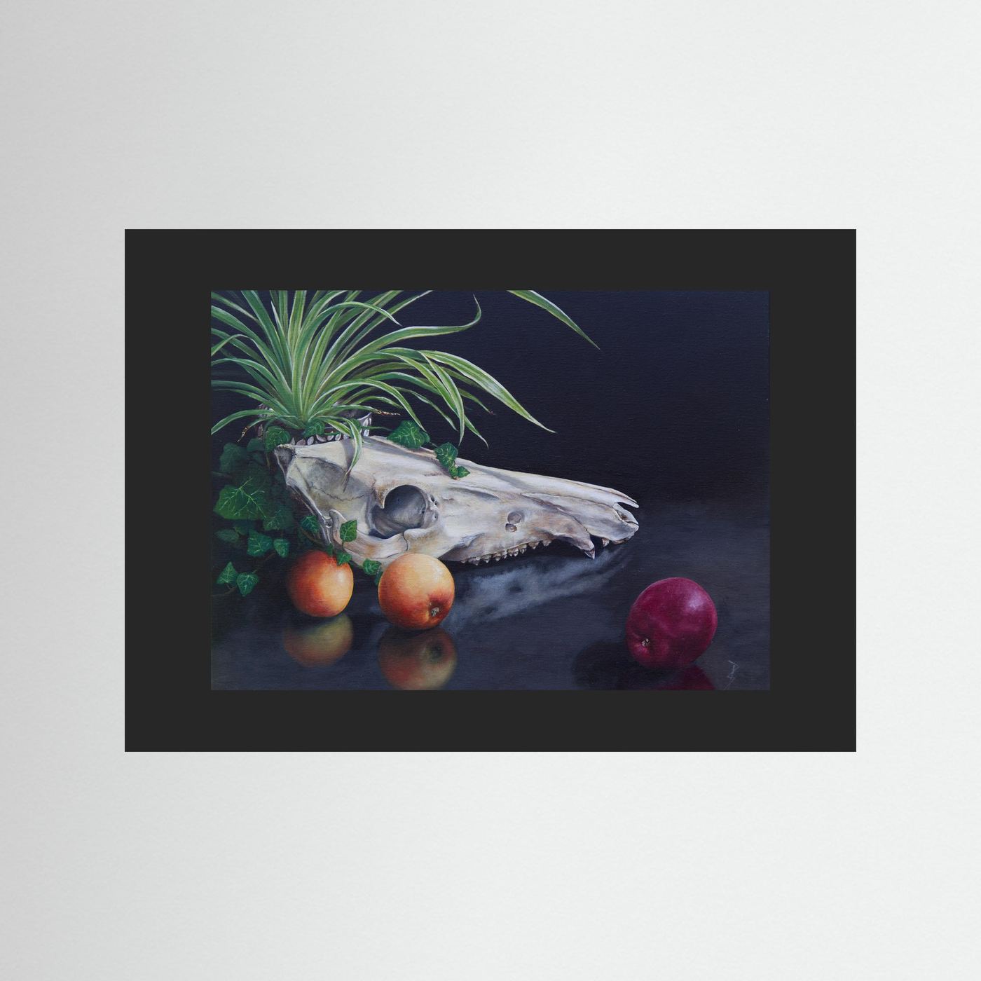 A unframed still life paper art print with a black passepartout featuring a white animal skull, green leaves, and apples on a dark reflective surface, displayed against a light gray background.
