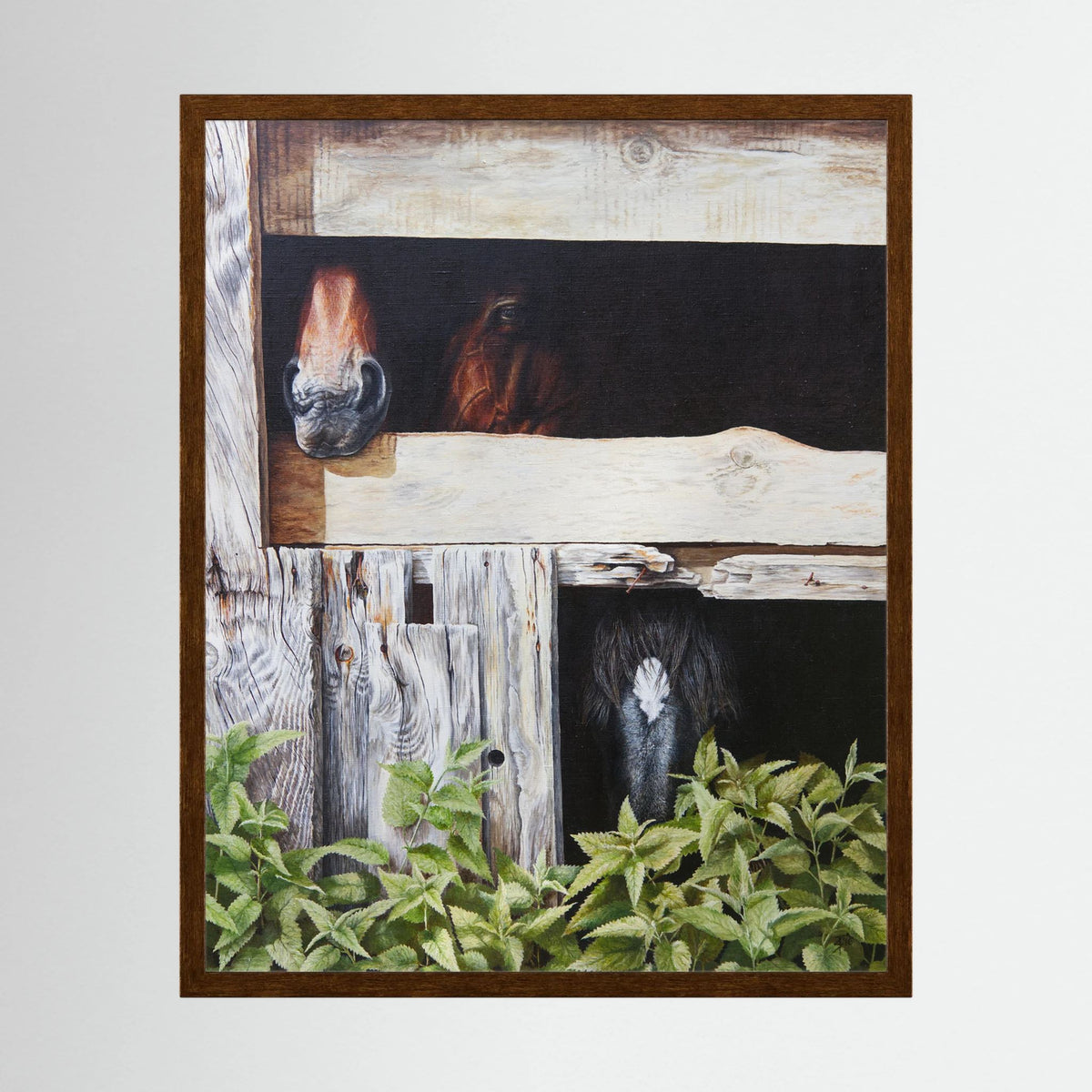 A framed (dark oak frame) art paper print depicting three horses peeking out from a rustic wooden stable, with green foliage in the foreground, shown against a light gray background.