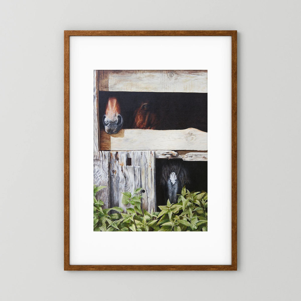 A framed (dark oak) paper art print with a white passepartout depicting three horses looking out from a rustic wooden stable, presented against a light gray wall.