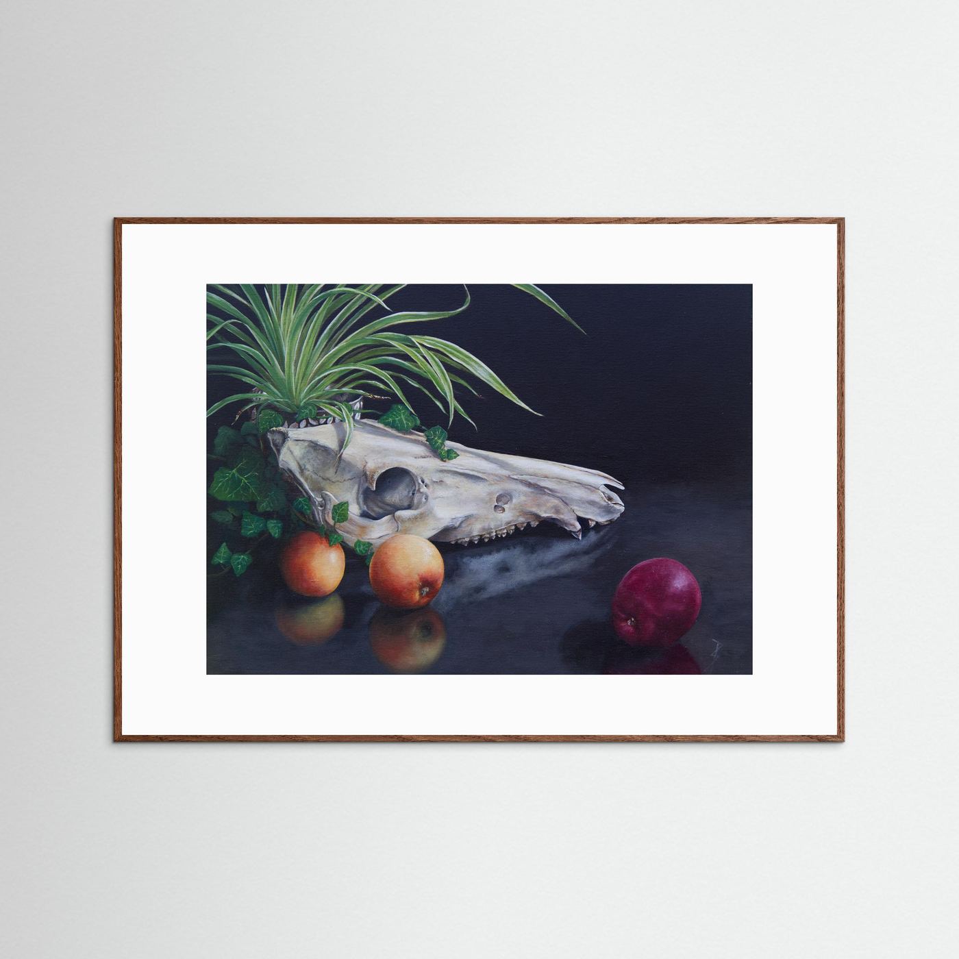 A framed (dark oak frame) still life paper art print with a white passepartout featuring a white animal skull, green leaves, and red apples on a dark reflective surface, displayed against a light gray wall.