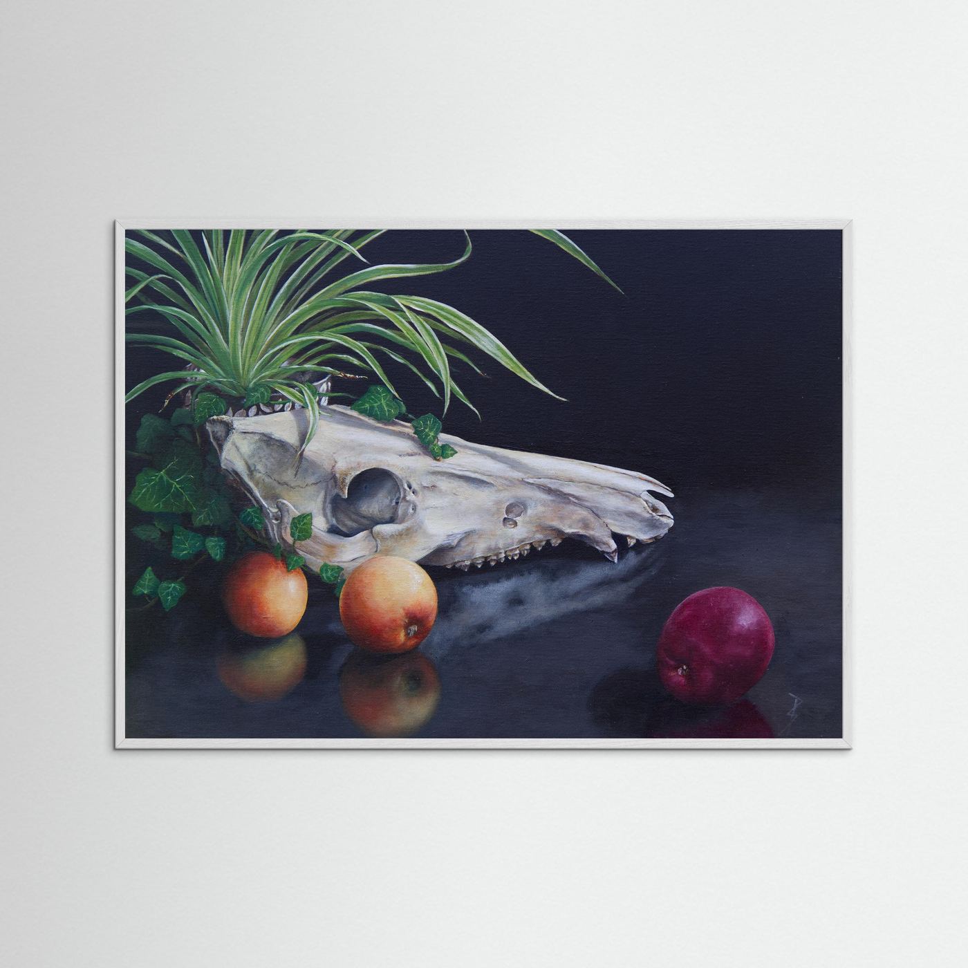A framed (white frame) still life paper art print featuring a white animal skull, green plant leaves, two orange and one red apple on a dark reflective surface against a black background, shown hanging on a light gray wall.